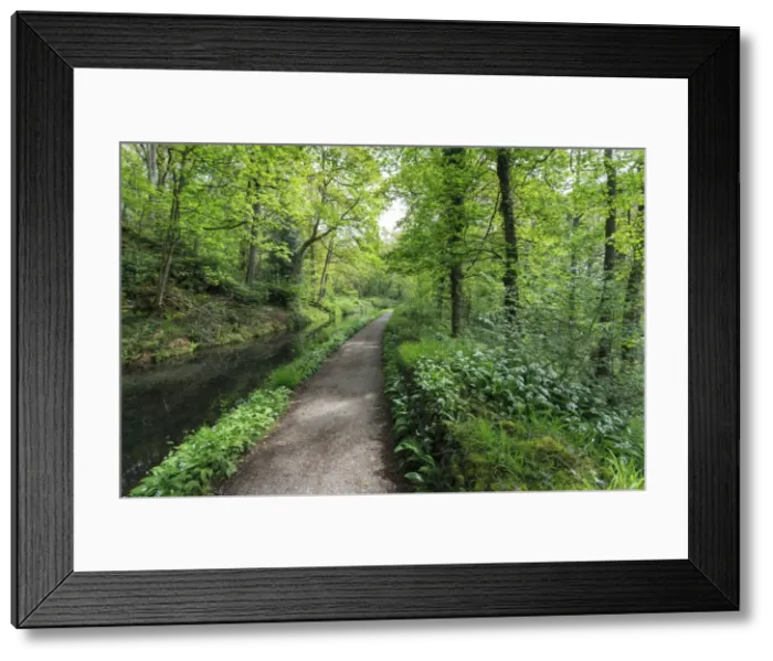 Framed Print : Historic Cromford Canal and tow path in spring, Derwent Valley Mills, UNESCO World Heritage Site Framed Print : Historic Cromford Canal and tow path in spring, Derwent Valley Mills, UNESCO World Heritage Site