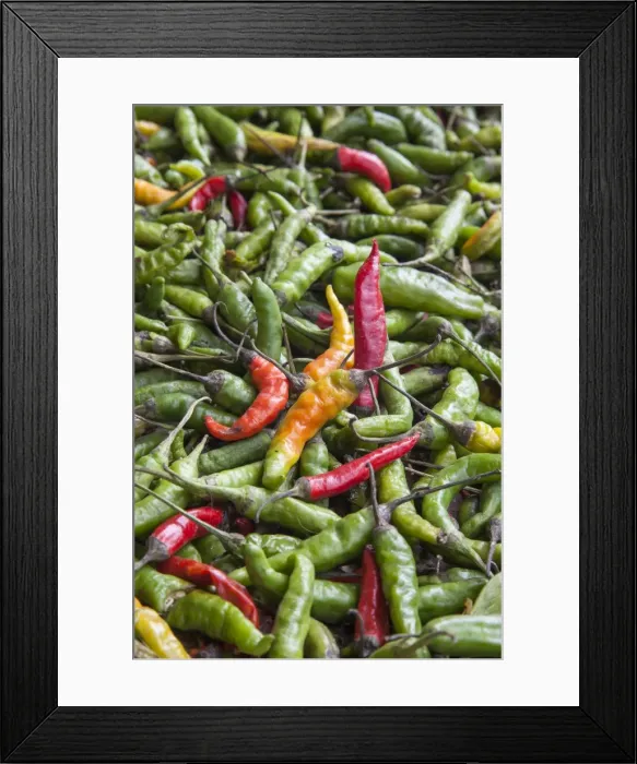 Framed Print : Hot peppers of various color used as food in Indian cuisine considered one of Framed Print : Hot peppers of various color used as food in Indian cuisine considered one of
