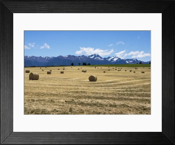 Framed Print : Hay field in the landscape, Patagonia, Argentina, South America Framed Print : Hay field in the landscape, Patagonia, Argentina, South America