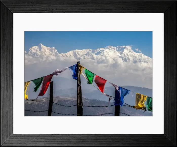 Framed Print : Colored prayer flags flutter in front of the majestic Kanchenjunga, the third highest Framed Print : Colored prayer flags flutter in front of the majestic Kanchenjunga, the third highest