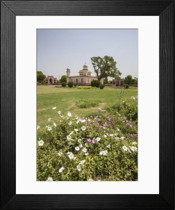 Framed Print : Colorful flowers bloom in the garden Chahar Bagh, site of tombs built during Framed Print : Colorful flowers bloom in the garden Chahar Bagh, site of tombs built during