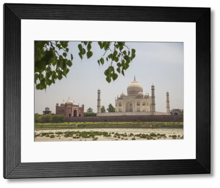 Framed Print : The Taj Mahal, UNESCO World Heritage Site, Agra, Uttar Pradesh, India, Asia Framed Print : The Taj Mahal, UNESCO World Heritage Site, Agra, Uttar Pradesh, India, Asia