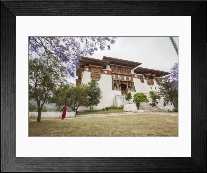 Framed Print : The garden at the entrance of the Punakha Dzong where there are trees of different species Framed Print : The garden at the entrance of the Punakha Dzong where there are trees of different species