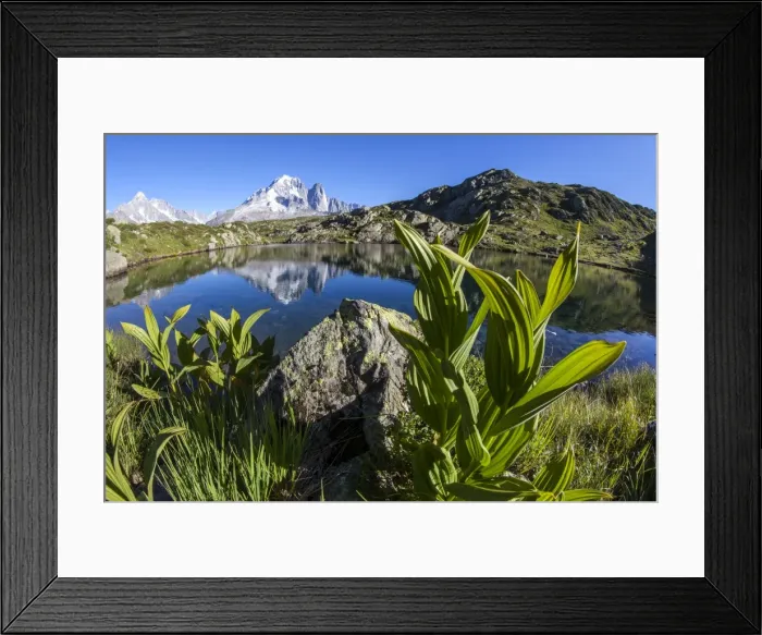 Framed Print : Aiguille Verte from Lac des Cheserys, Haute Savoie, French Alps, France, Europe