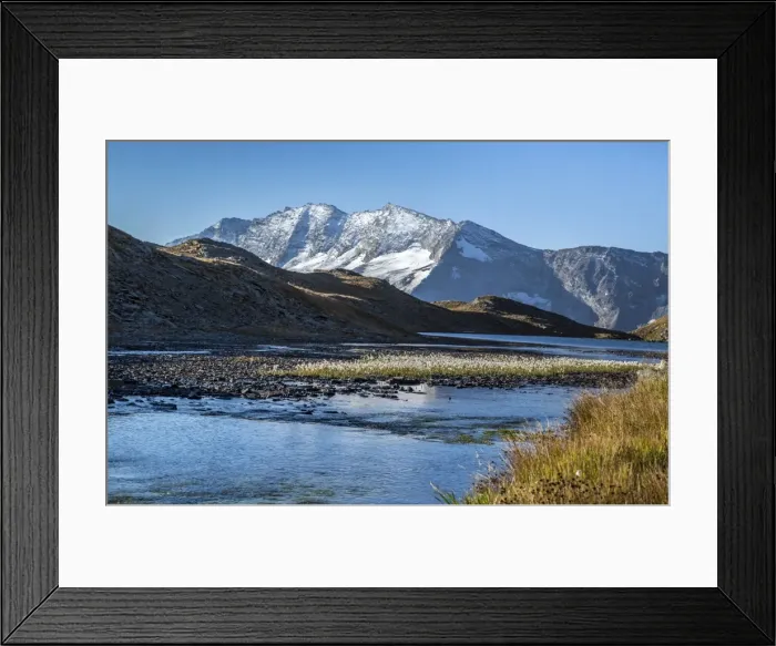 Framed Print : Blooming of eriofori (cotton grass), Levanne mountains. Gran Paradiso National Park Framed Print : Blooming of eriofori (cotton grass), Levanne mountains. Gran Paradiso National Park