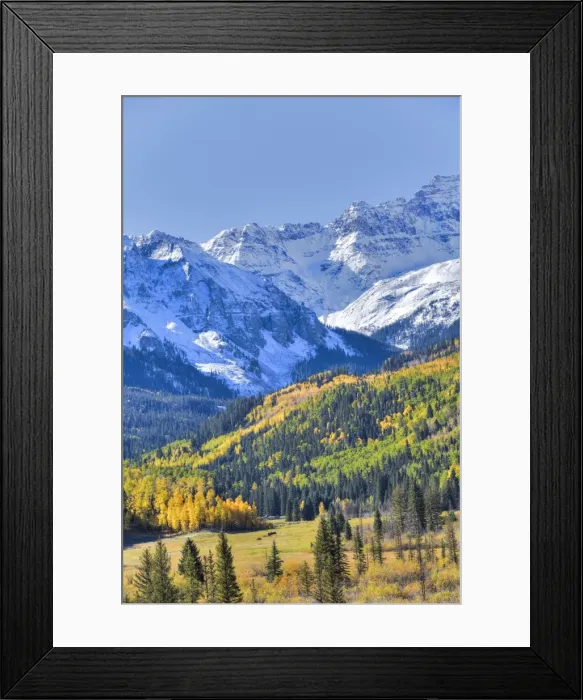 Framed Print : Fall Colors, Road 7, Sneffels Range in the background, near Ouray, Colorado, United Framed Print : Fall Colors, Road 7, Sneffels Range in the background, near Ouray, Colorado, United