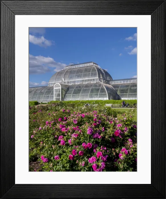Framed Print : Henley Regatta, Henley-on-Thames, Oxfordshire, England, United Kingdom, Europe Framed Print : Henley Regatta, Henley-on-Thames, Oxfordshire, England, United Kingdom, Europe