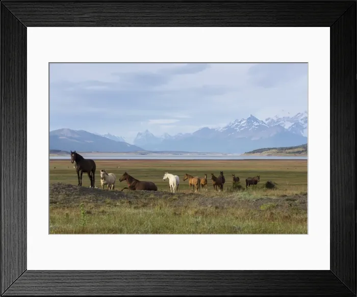 Framed Print : Los Glaciares National Park, UNESCO World Heritage Site, Patagonia, Argentina, South Framed Print : Los Glaciares National Park, UNESCO World Heritage Site, Patagonia, Argentina, South