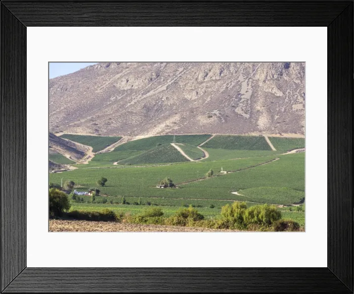 Framed Print : Wine production in the footills of the Andes, Valparaiso region, Chile, South America Framed Print : Wine production in the footills of the Andes, Valparaiso region, Chile, South America