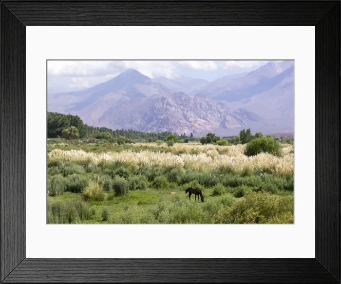 Framed Print : Landscape in the Andes, Argentina, South America Framed Print : Landscape in the Andes, Argentina, South America