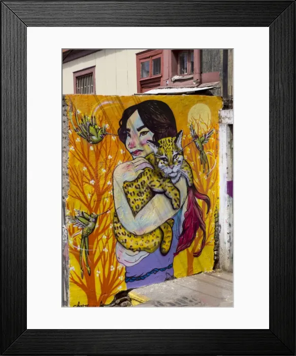 Framed Print : Wonderful graffiti, Valparaiso, UNESCO World Heritage Site, Chile, South America Framed Print : Wonderful graffiti, Valparaiso, UNESCO World Heritage Site, Chile, South America