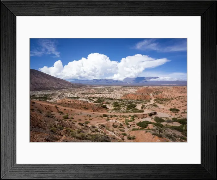 Framed Print : Valle Tin Tin, Los Cardones Park, Argentina, South America Framed Print : Valle Tin Tin, Los Cardones Park, Argentina, South America