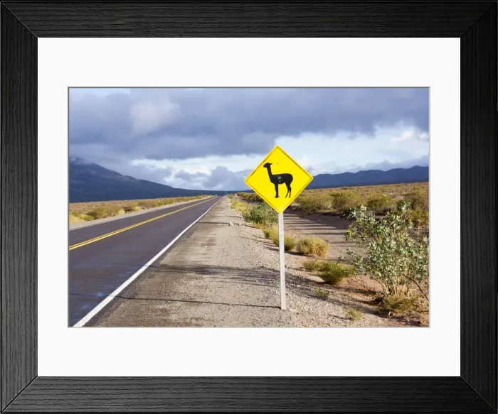 Framed Print : Guanaco sign, Argentina, South America Framed Print : Guanaco sign, Argentina, South America