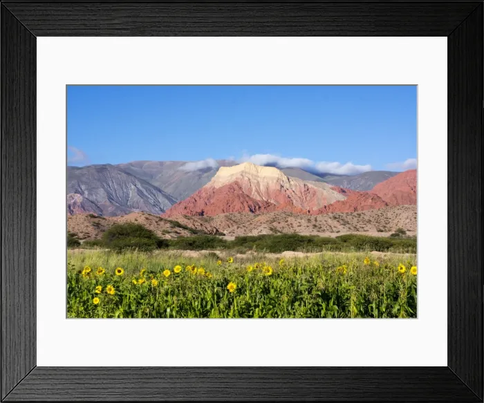 Framed Print : Coloured mountains, Salta district, Argentina, South America Framed Print : Coloured mountains, Salta district, Argentina, South America