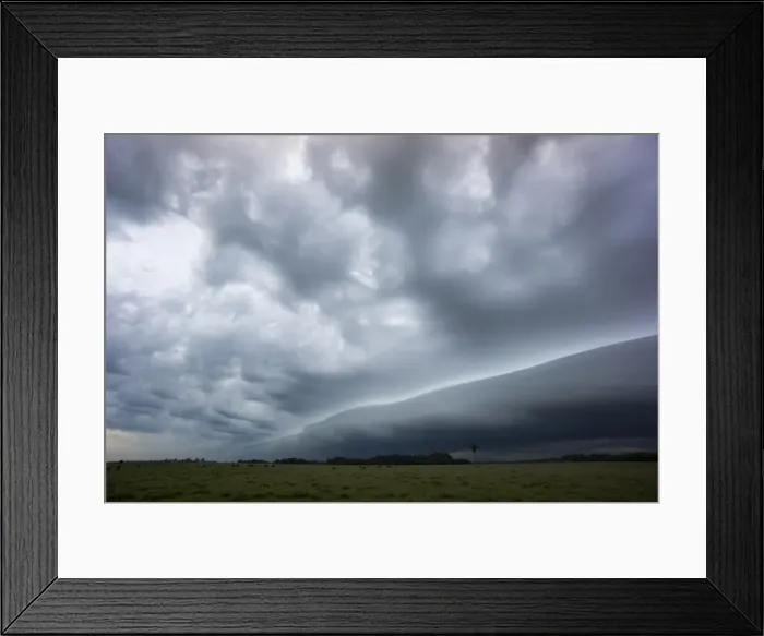 Framed Print : Stormy skies, Parque National Ibera, Argentina, South America Framed Print : Stormy skies, Parque National Ibera, Argentina, South America