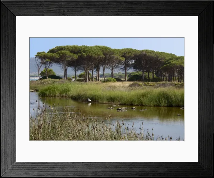Framed Print : Lake with water plants and bird, sea and beach in the background, Costa degli Oleandri Framed Print : Lake with water plants and bird, sea and beach in the background, Costa degli Oleandri