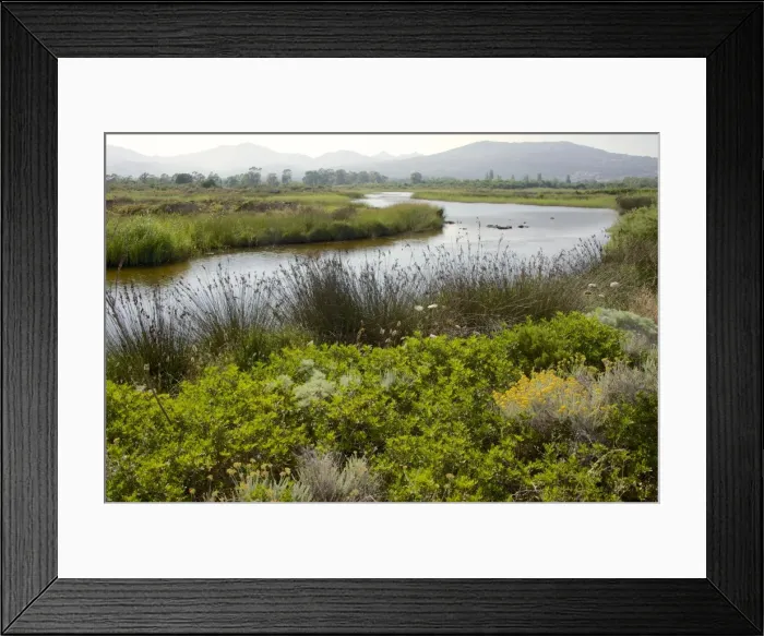 Framed Print : Typical Sardinian landscape, water pond and mountains in the background, Costa degli Oleandri Framed Print : Typical Sardinian landscape, water pond and mountains in the background, Costa degli Oleandri