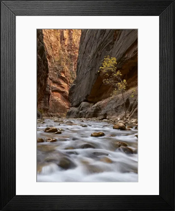 Framed Print : The Narrows of the Virgin River in the fall, Zion National Park, Utah, United States of America Framed Print : The Narrows of the Virgin River in the fall, Zion National Park, Utah, United States of America