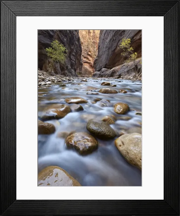 Framed Print : The Narrows of the Virgin River in the fall, Zion National Park, Utah, United States of America Framed Print : The Narrows of the Virgin River in the fall, Zion National Park, Utah, United States of America