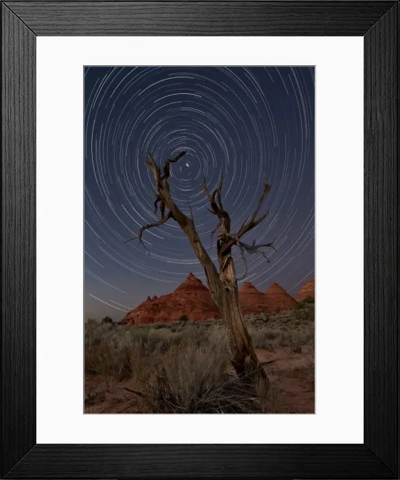 Framed Print : Juniper and sandstone cones under the stars, Coyote Buttes Wilderness, Vermilion Framed Print : Juniper and sandstone cones under the stars, Coyote Buttes Wilderness, Vermilion