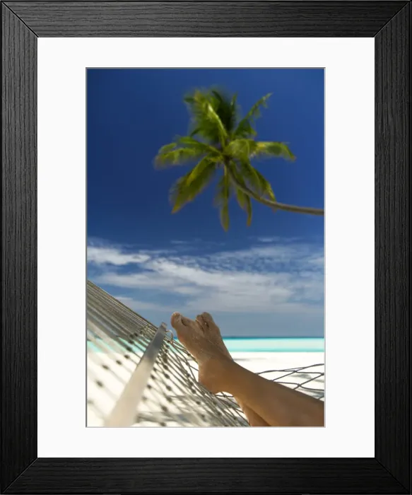 Framed Print : Hammock and palm tree, Maldives, Indian Ocean, Asia Framed Print : Hammock and palm tree, Maldives, Indian Ocean, Asia