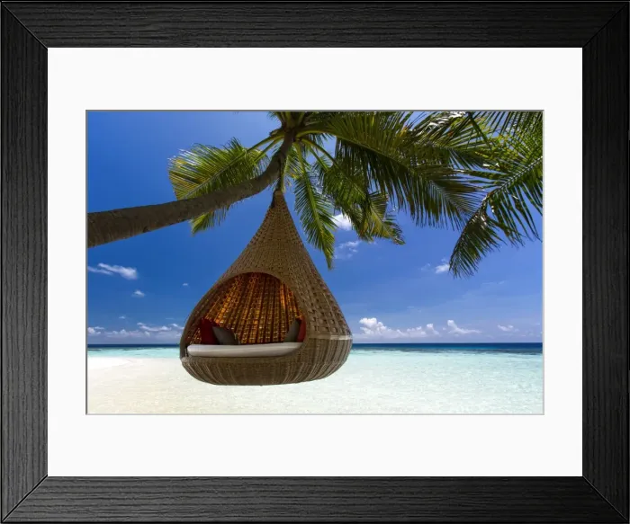 Framed Print : Sofa hanging on a tree on the beach, Maldives, Indian Ocean, Asia Framed Print : Sofa hanging on a tree on the beach, Maldives, Indian Ocean, Asia