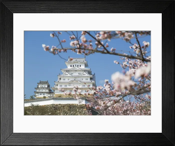 Framed Print : Himeji Castle, UNESCO World Heritage Site, Himeji, Kansai, Honshu, Japan, Asia Framed Print : Himeji Castle, UNESCO World Heritage Site, Himeji, Kansai, Honshu, Japan, Asia