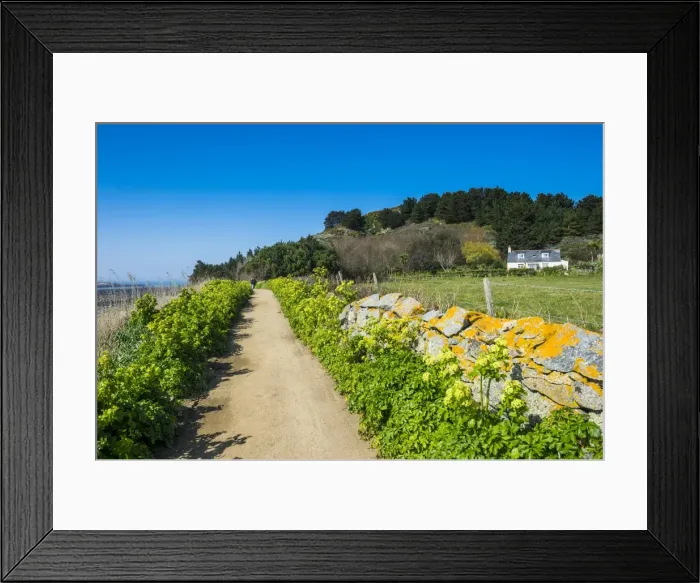 Framed Print : Footpath above a long sandy beach on the east coast of Herm, Channel Islands, United Kingdom
