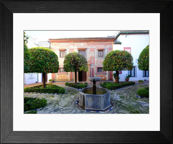 Framed Print : Patio of the Museo de Bellas Artes and Museo Julio Romero de Torres, Cordoba, Andalucia Framed Print : Patio of the Museo de Bellas Artes and Museo Julio Romero de Torres, Cordoba, Andalucia