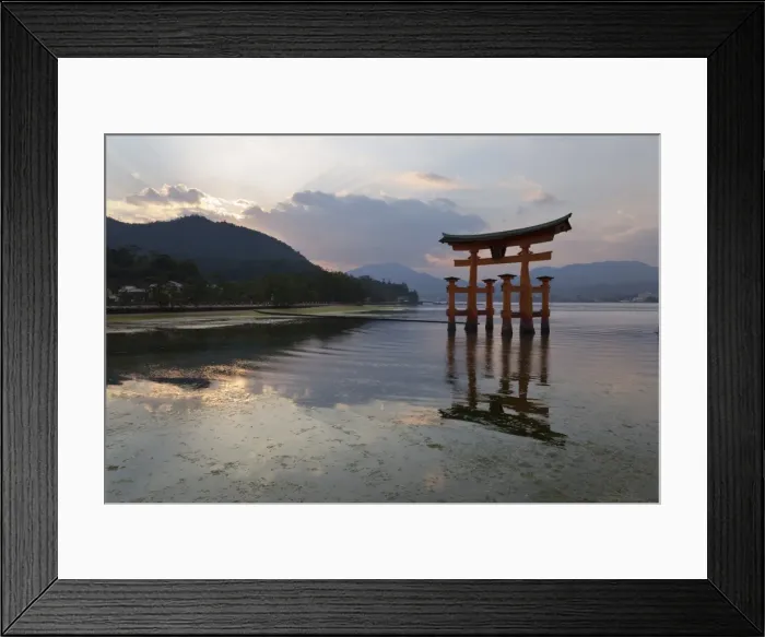 Framed Print : The floating Miyajima torii gate of Itsukushima Shrine at sunset, UNESCO World Heritage Site Framed Print : The floating Miyajima torii gate of Itsukushima Shrine at sunset, UNESCO World Heritage Site