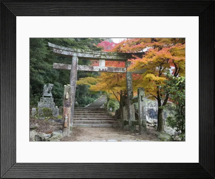 Framed Print : Torii gate and steps of Daisho-in temple in autumn, Miyajima Island, Western Honshu Framed Print : Torii gate and steps of Daisho-in temple in autumn, Miyajima Island, Western Honshu