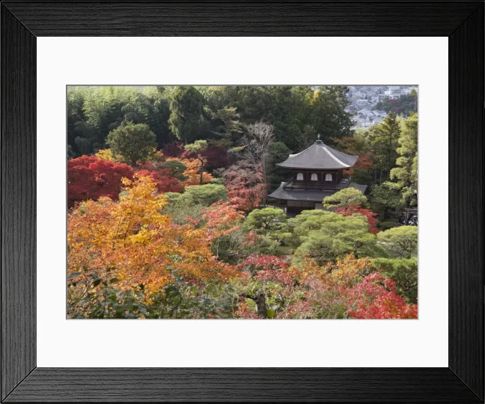 Framed Print : The Silver Pavilion and gardens in autumn, Buddhist Temple of Ginkaku-ji, Northern Higashiyama Framed Print : The Silver Pavilion and gardens in autumn, Buddhist Temple of Ginkaku-ji, Northern Higashiyama