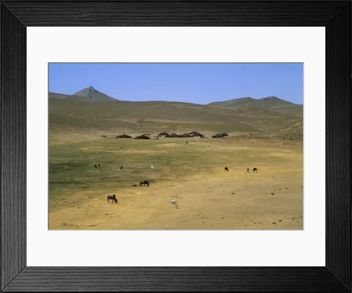 Framed Print : Nomad tents between Chakhcharan and Djam, Afghanistan, Asia Framed Print : Nomad tents between Chakhcharan and Djam, Afghanistan, Asia