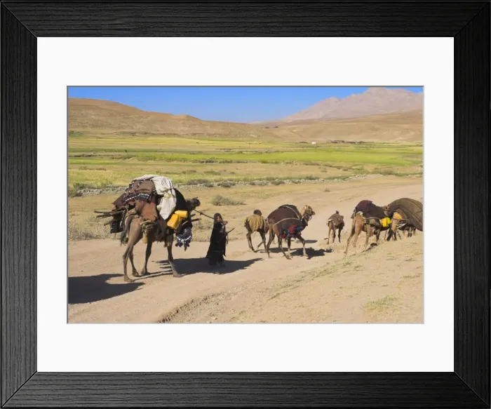 Framed Print : Kuchie nomad camel train, between Chakhcharan and Jam, Afghanistan, Asia Framed Print : Kuchie nomad camel train, between Chakhcharan and Jam, Afghanistan, Asia