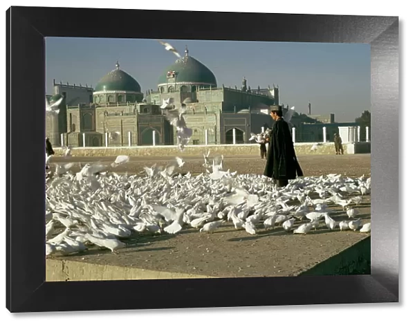 Pigeons at the mosque and shrine of Ali, Mazar-e Sharif, Afghanistan, Asia