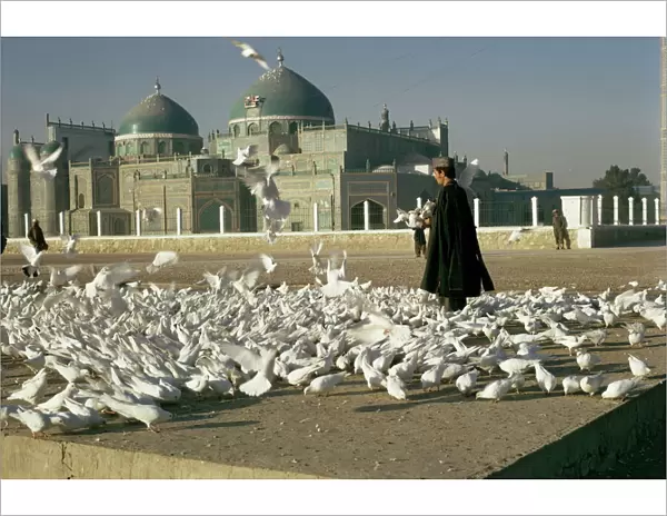 Pigeons at the mosque and shrine of Ali, Mazar-e Sharif, Afghanistan, Asia