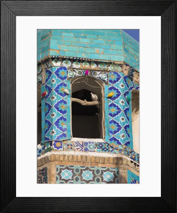 Framed Print : Famous white pingeon in minaret, Shrine of Hazrat Ali, who was assassinated in 661 Framed Print : Famous white pingeon in minaret, Shrine of Hazrat Ali, who was assassinated in 661