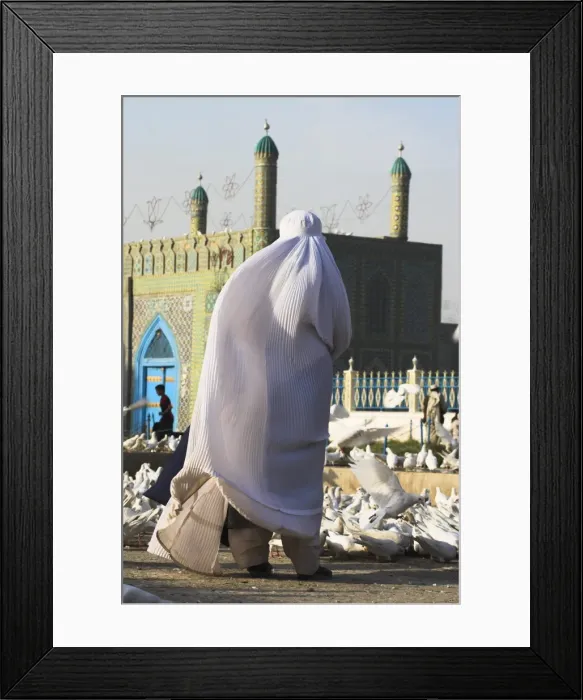 Framed Print : Lady in burqa feeding the famous white pigeons at the shrine of Hazrat Ali Framed Print : Lady in burqa feeding the famous white pigeons at the shrine of Hazrat Ali