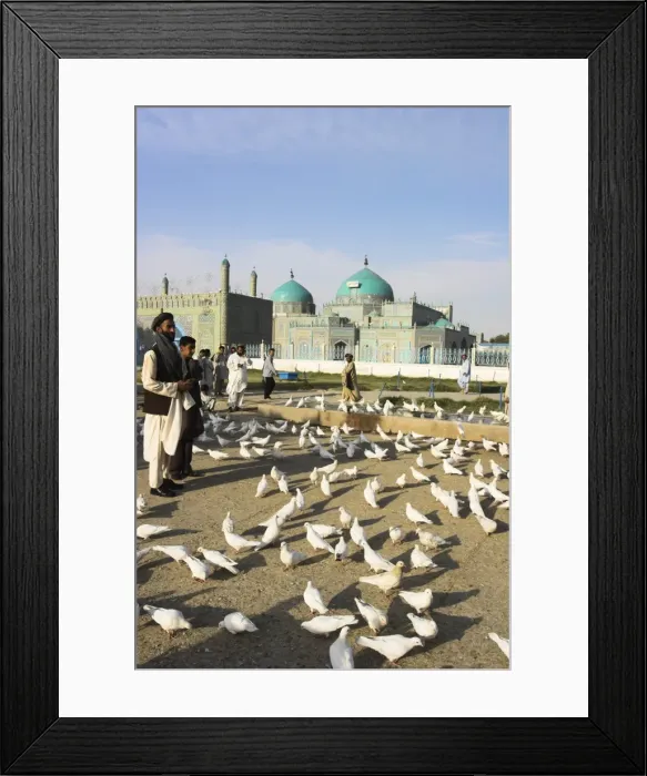 Framed Print : People feeding the famous white pigeons, Shrine of Hazrat Ali, Mazar-I-Sharif Framed Print : People feeding the famous white pigeons, Shrine of Hazrat Ali, Mazar-I-Sharif