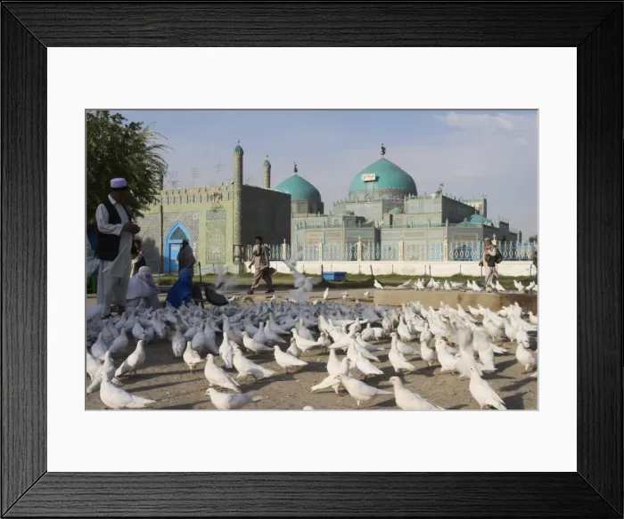 Framed Print : People feeding the famous white pigeons, Shrine of Hazrat Ali, Mazar-I-Sharif Framed Print : People feeding the famous white pigeons, Shrine of Hazrat Ali, Mazar-I-Sharif