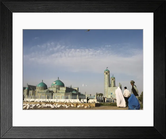Framed Print : Lady in burqa feeding famous white pigeons at Shrine of Hazrat Ali, Mazar-I-Sharif Framed Print : Lady in burqa feeding famous white pigeons at Shrine of Hazrat Ali, Mazar-I-Sharif