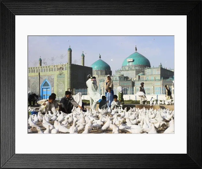 Framed Print : People feeding famous white pigeons at Shrine of Hazrat Ali, Mazar-I-Sharif Framed Print : People feeding famous white pigeons at Shrine of Hazrat Ali, Mazar-I-Sharif