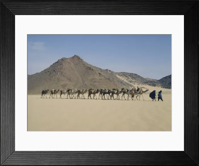 Framed Print : Tuareg and wife leading camel train through the desert near Djanet, Algeria, North Africa Framed Print : Tuareg and wife leading camel train through the desert near Djanet, Algeria, North Africa