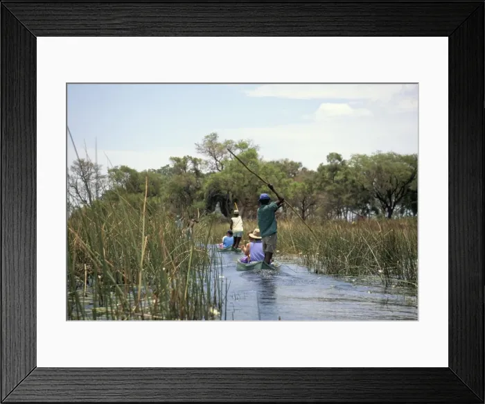 Framed Print : Tourists in dug out canoe (mokoro), Okavango Delta, Botswana, Africa Framed Print : Tourists in dug out canoe (mokoro), Okavango Delta, Botswana, Africa