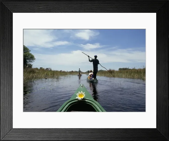 Framed Print : Tourists in dug out canoe (mokoro), Okavango Delta, Botswana, Africa Framed Print : Tourists in dug out canoe (mokoro), Okavango Delta, Botswana, Africa
