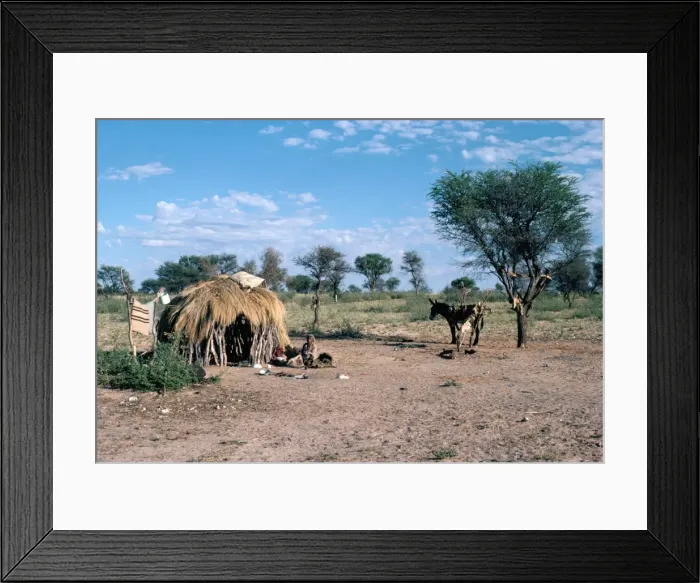 Framed Print : Bushmen, Kalahari, Botswana, Africa Framed Print : Bushmen, Kalahari, Botswana, Africa