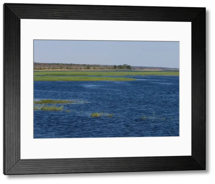 Framed Print : Chobe River, Chobe National Park, Botswana, Africa Framed Print : Chobe River, Chobe National Park, Botswana, Africa