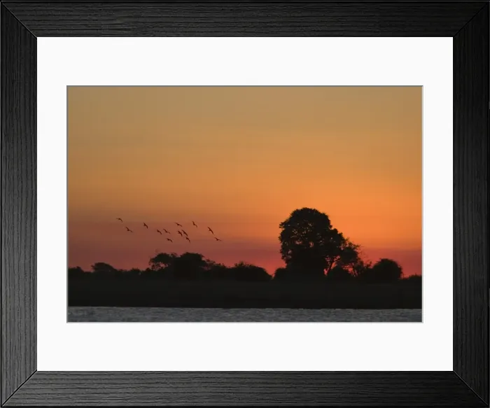 Framed Print : Sunset over Chobe River, Chobe National Park, Botswana, Africa Framed Print : Sunset over Chobe River, Chobe National Park, Botswana, Africa