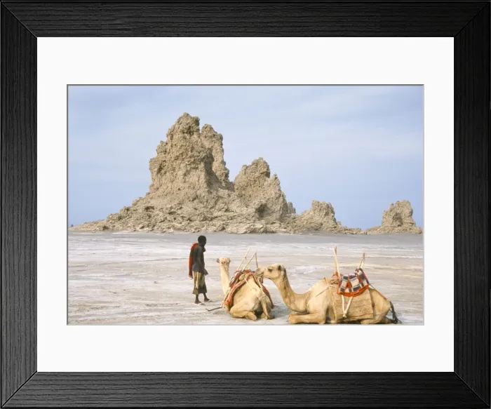 Framed Print : Tufa towers at Lac Abhe (Abbe), formed by hot springs beneath old lake at higher level Framed Print : Tufa towers at Lac Abhe (Abbe), formed by hot springs beneath old lake at higher level