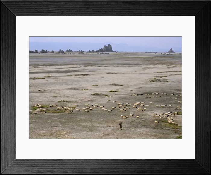 Framed Print : Lac Abhe (Abbe) in wide rift valley, tufa towers, relics from old lake at higher level Framed Print : Lac Abhe (Abbe) in wide rift valley, tufa towers, relics from old lake at higher level